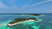 Travel Arrival GIF by Casol