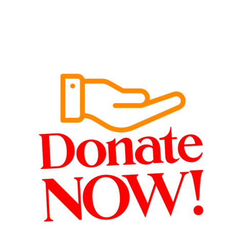 Charity Donate Now Sticker by RaiseThon