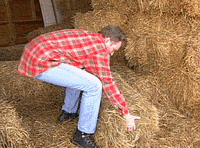 conan obrien hay GIF by Team Coco