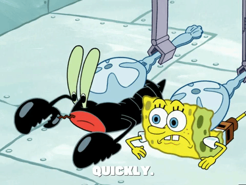 season 6 patty caper GIF by SpongeBob SquarePants