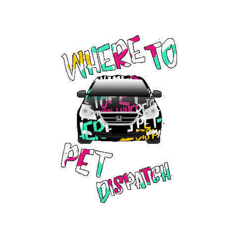 Cat Dog Sticker by WHERE TO PET ?
