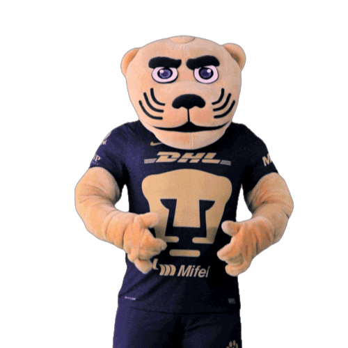 Proud Football Sticker by Pumas MX