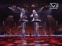 Shadow GIF by Gladiators