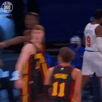 Rj Barrett GIF by New York Knicks