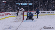 Celebrate Ice Hockey GIF by NHL