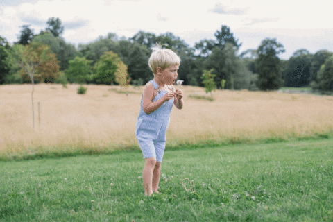 dottydungarees giphygifmaker GIF