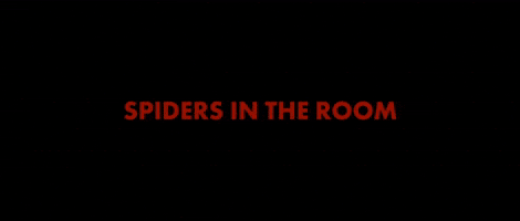 Davidly - Spiders in the Room
