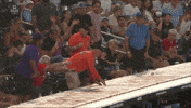 Baseball Omaha GIF by NCAA Championships