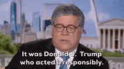 Donald Trump GIF by GIPHY News
