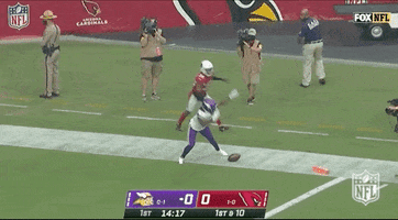 Minnesota Vikings Football GIF by NFL
