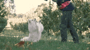 Photography GIF by puppytales