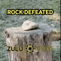 Rock Complete GIF by Zulu Pods