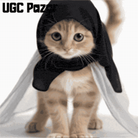 Cat Kitty GIF by UGCPazar