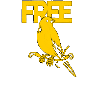 PandaKongArt bird birds lis free bird Sticker