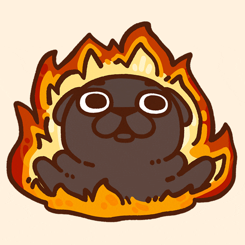 Fire Burn GIF by Puglie Pug