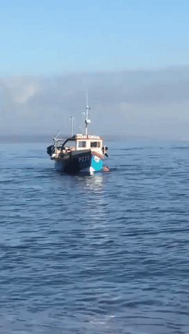 Fisherman Dragged Behind Boat for 5 Miles After Falling Overboard