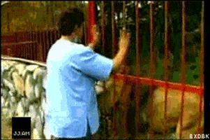 zoo hug GIF