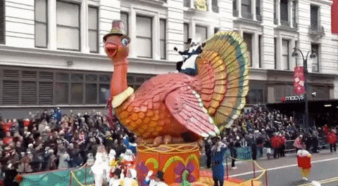 Turkey GIF by The 94th Annual Macy’s Thanksgiving Day Parade