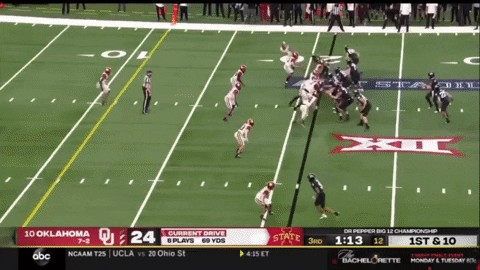 SchaufDS giphygifmaker GIF