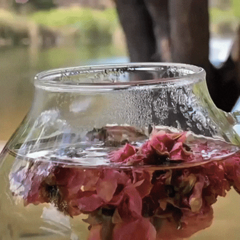 JAVIS90 giphyupload GIF