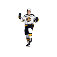 ottershockey ohl erie otters erie otters hockey otters hockey Sticker