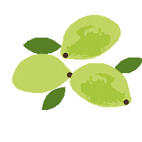 Fruit Branch Sticker by True Botanicals