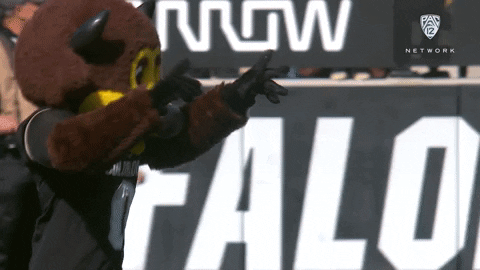 Football Celebration GIF by Pac-12 Network