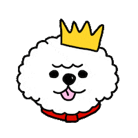 dog puppy Sticker by Ivo Adventures