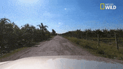 pupparazzi puppy potty face GIF by Nat Geo Wild
