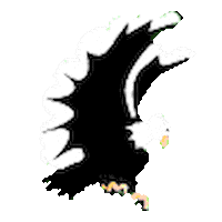 graphics eagle STICKER