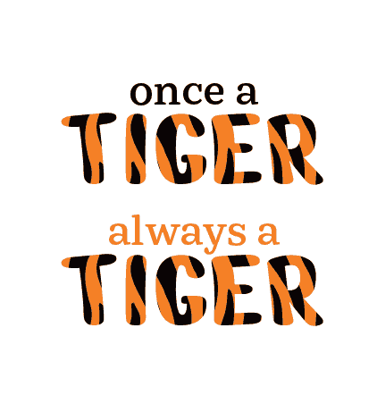 Go Tigers Sticker by Princeton University
