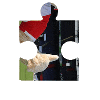 Puzzle Sticker by Feyenoord Rotterdam N.V.