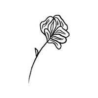 MaSoeurEtMoi flower vogue msem masoeuretmoi Sticker