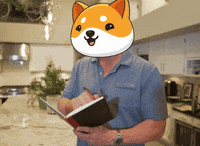 Money Learn GIF by Baby Doge Coin