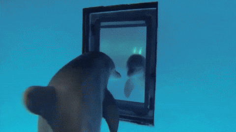 GIF by Alex Boya