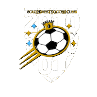 2010 Sticker by Southwest Soccer Club