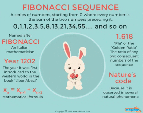 mocomikids giphyupload GIF