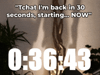 30 Seconds Twitch GIF