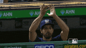 Major League Baseball Sport GIF by MLB