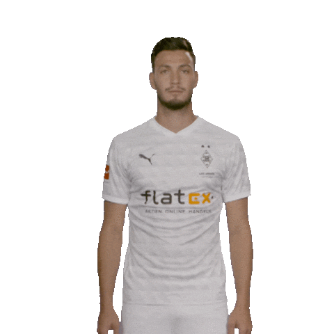 Posing Line Up Sticker by Bundesliga