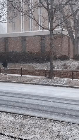 Burst of Snow Observed on Penn State Campus as 'Arctic Cold Snap' Impacts Region