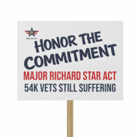 Congress Senate GIF by Pass the Act