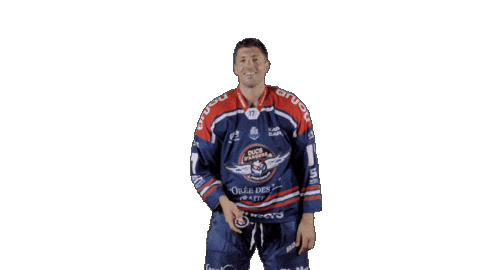 Ducs Dangers Hockey Sticker by Les Ducs d'Angers
