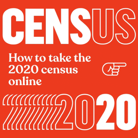 Census GIF by AdHoc Presents