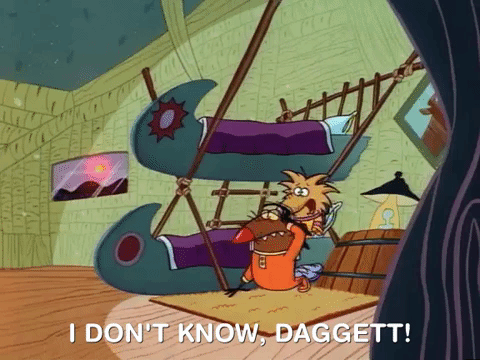 nickrewind giphydvr nicksplat angry beavers giphyab013 GIF