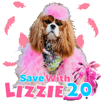 Dog Model Sticker by Pimp Yo Pets