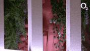Watching Love Island GIF by O2