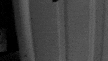 sub pop beach house band GIF by Sub Pop Records