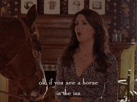 season 4 netflix GIF by Gilmore Girls 