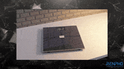 Germany Fitness GIF by RENPHO